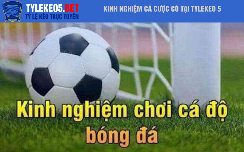Kinh nghiệm cá cược có tại Tylekeo 5